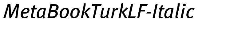 MetaBookTurkLF-Italic