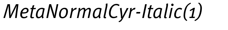 MetaNormalCyr-Italic(1)