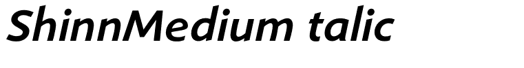 ShinnMediumItalic