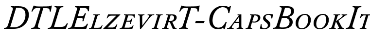 DTLElzevirT-CapsBookItalic