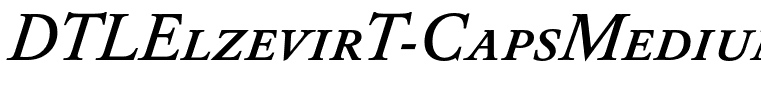 DTLElzevirT-CapsMediumItalic