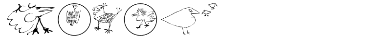 Birds