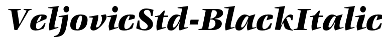 VeljovicStd-BlackItalic