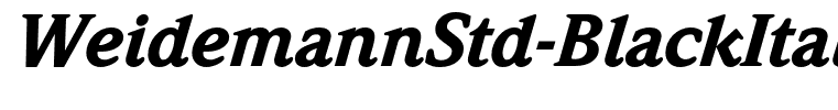 WeidemannStd-BlackItalic