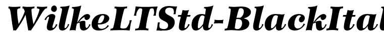 WilkeLTStd-BlackItalic