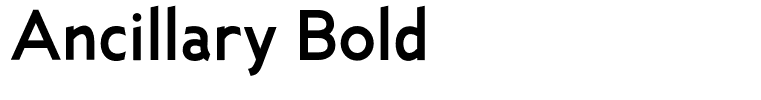 Ancillary Bold