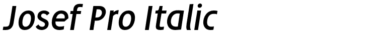 Josef Pro Italic