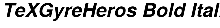 TeXGyreHeros Bold Italic