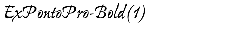 ExPontoPro-Bold(1)