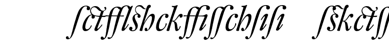 DTLFleischmannDAlternate-Italic