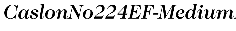 CaslonNo224EF-MediumItalic