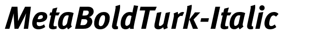 MetaBoldTurk-Italic