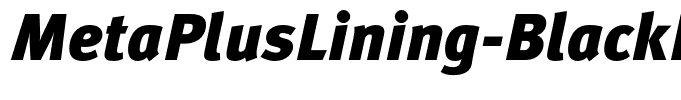 MetaPlusLining-BlackItalic