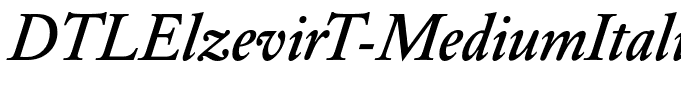 DTLElzevirT-MediumItalic