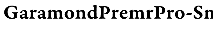 GaramondPremrPro-SmbdCapt