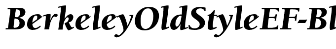 BerkeleyOldStyleEF-BlackItalic