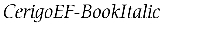 CerigoEF-BookItalic