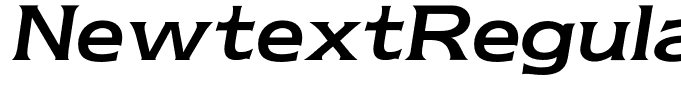 NewtextRegularItalic