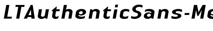 LTAuthenticSans-MediumItalic